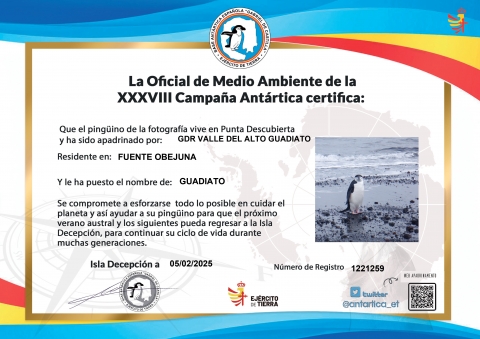 certificado apadrinamiento certificado apadrinamiento