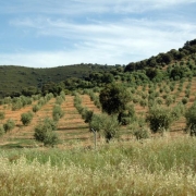 medio ambiente