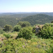 Paraje natural
