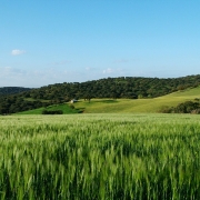 paisajes Alto Guadiato